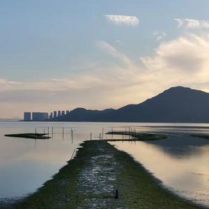 亚洲熟妇色XXXX欧美老妇多毛
