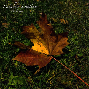 亚洲熟妇色XXXX欧美老妇多毛
